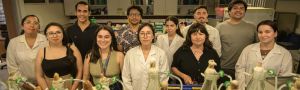 Desarrollan innovadora solución biotecnológica para recuperar suelos degradados por el cambio climático