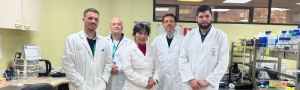 Nuevos avances en proyecto impulsado por CECTA Usach que busca producir pan suplementado con vitamina D