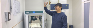 Innovación Usach apunta a fortalecer la inocuidad en los procesos productivos del queso azul